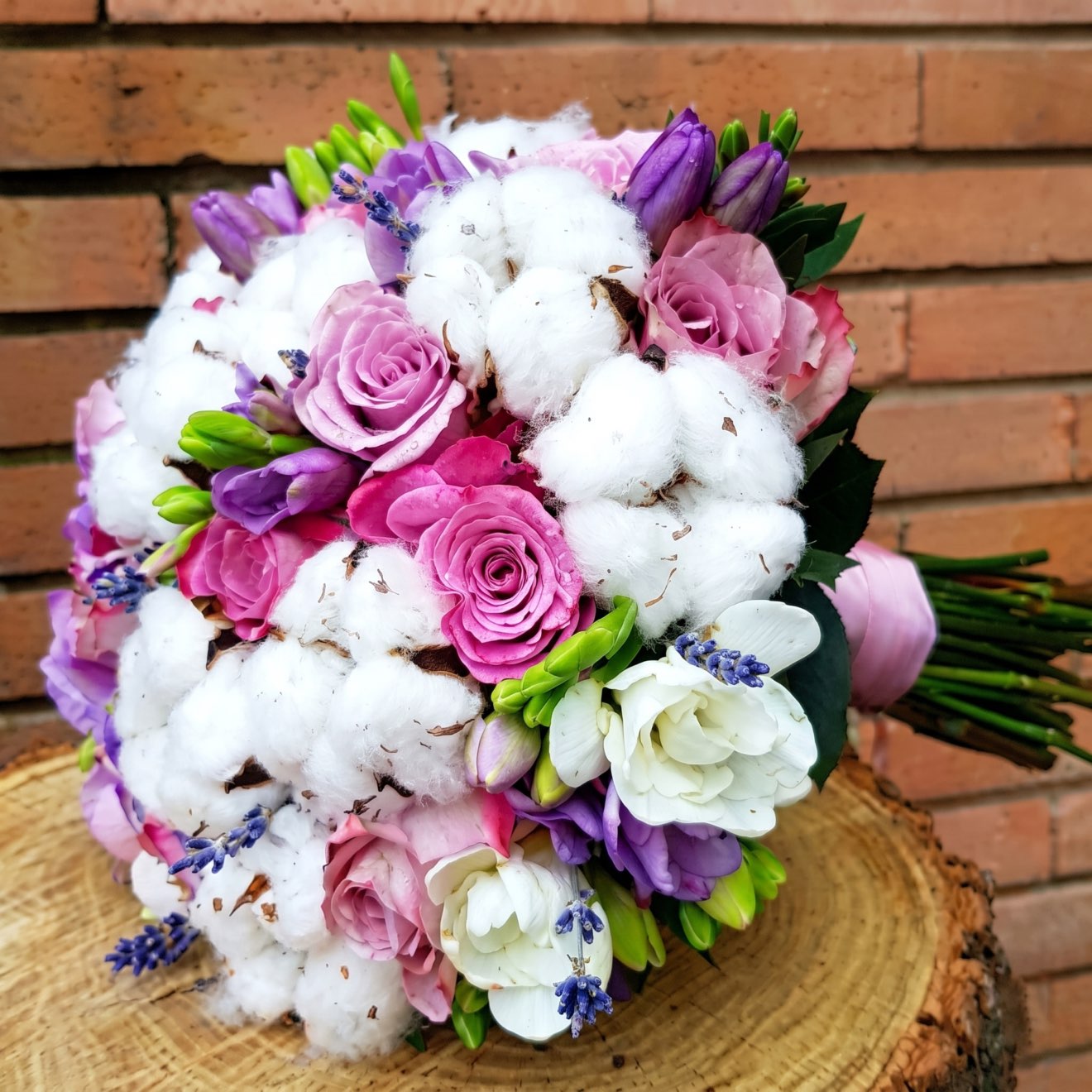 Bumbac cu mauve