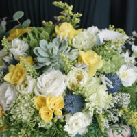 Aranjament-Cu-Frezii-Ranunculus-Si-Succulent