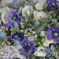 Aranjament cu muscari și anemone