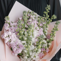 Buchet cu matthiola