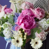 Bloom